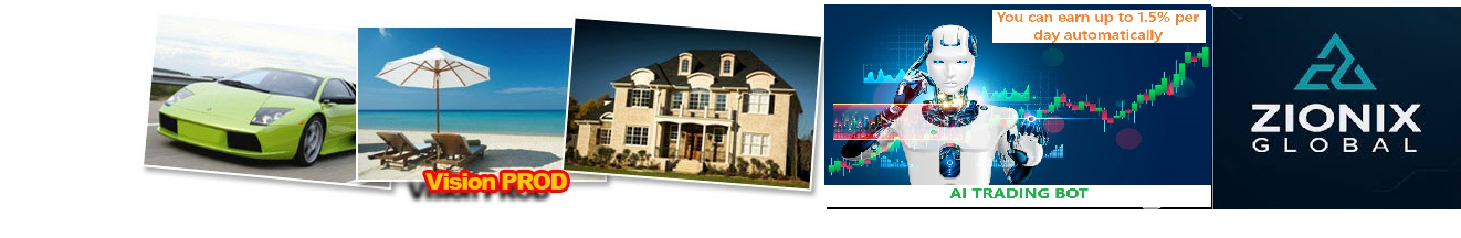 Presentation Zionix Global En Francais